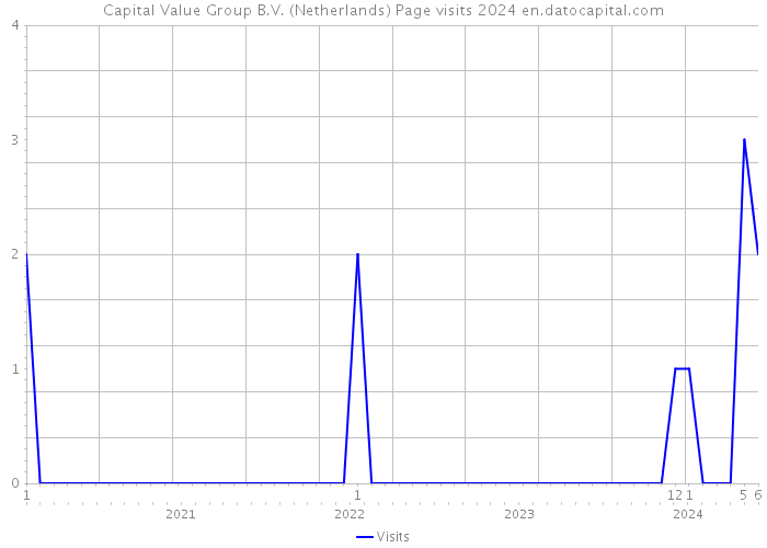 Capital Value Group B.V. (Netherlands) Page visits 2024 