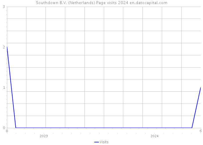 Southdown B.V. (Netherlands) Page visits 2024 
