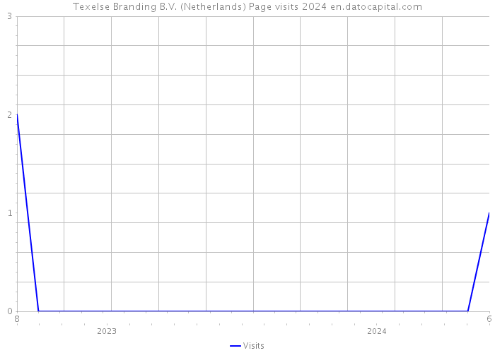 Texelse Branding B.V. (Netherlands) Page visits 2024 