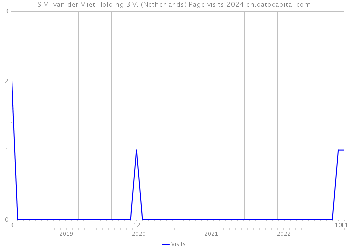 S.M. van der Vliet Holding B.V. (Netherlands) Page visits 2024 