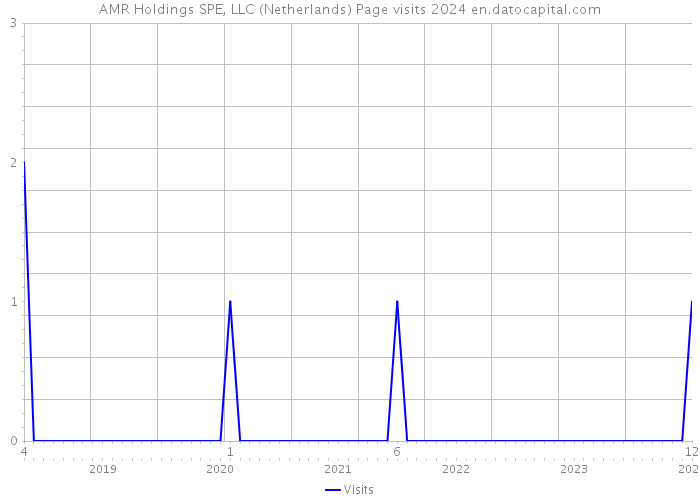 AMR Holdings SPE, LLC (Netherlands) Page visits 2024 