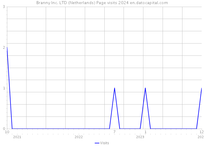 Branny Inc. LTD (Netherlands) Page visits 2024 
