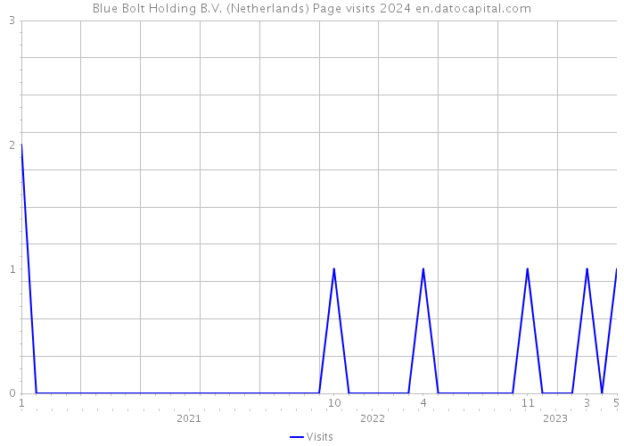 Blue Bolt Holding B.V. (Netherlands) Page visits 2024 