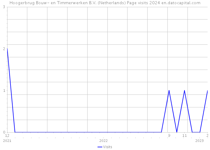 Hoogerbrug Bouw- en Timmerwerken B.V. (Netherlands) Page visits 2024 