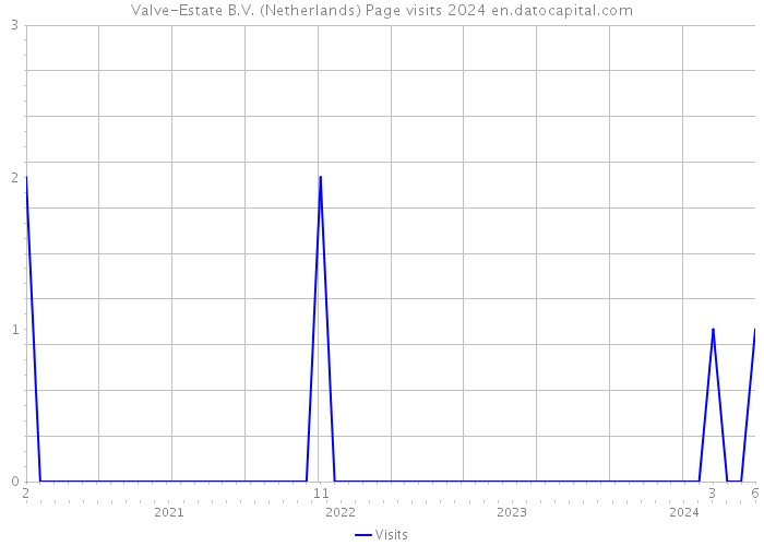 Valve-Estate B.V. (Netherlands) Page visits 2024 