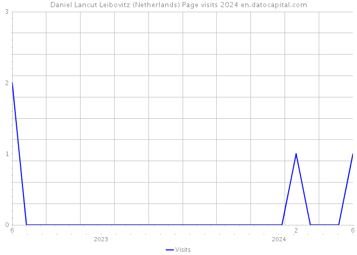 Daniel Lancut Leibovitz (Netherlands) Page visits 2024 