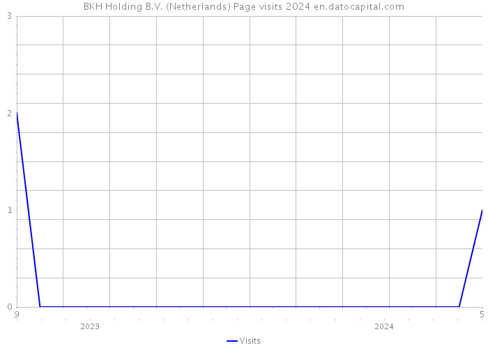 BKH Holding B.V. (Netherlands) Page visits 2024 