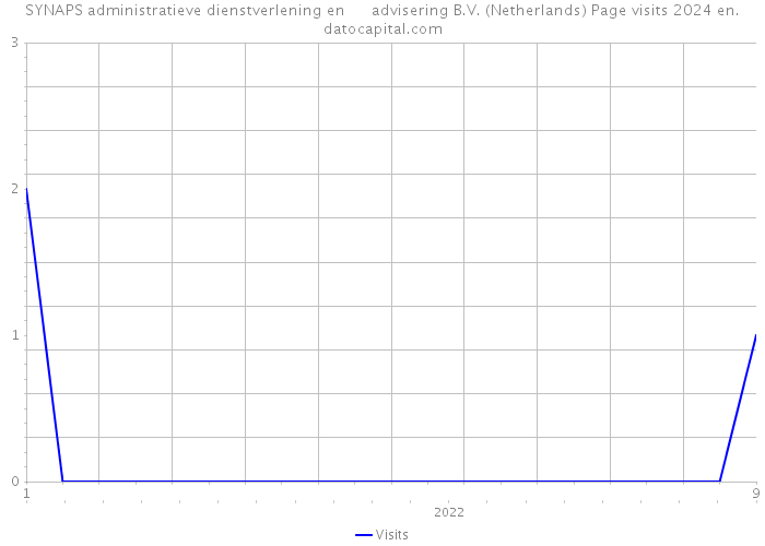SYNAPS administratieve dienstverlening en advisering B.V. (Netherlands) Page visits 2024 