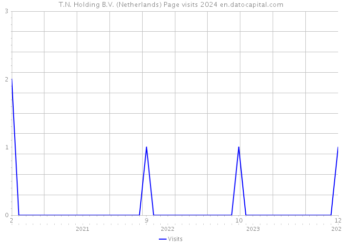 T.N. Holding B.V. (Netherlands) Page visits 2024 