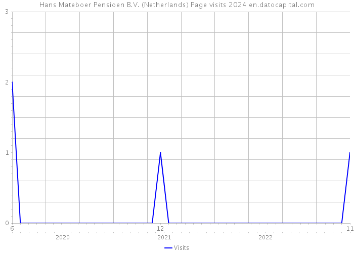Hans Mateboer Pensioen B.V. (Netherlands) Page visits 2024 