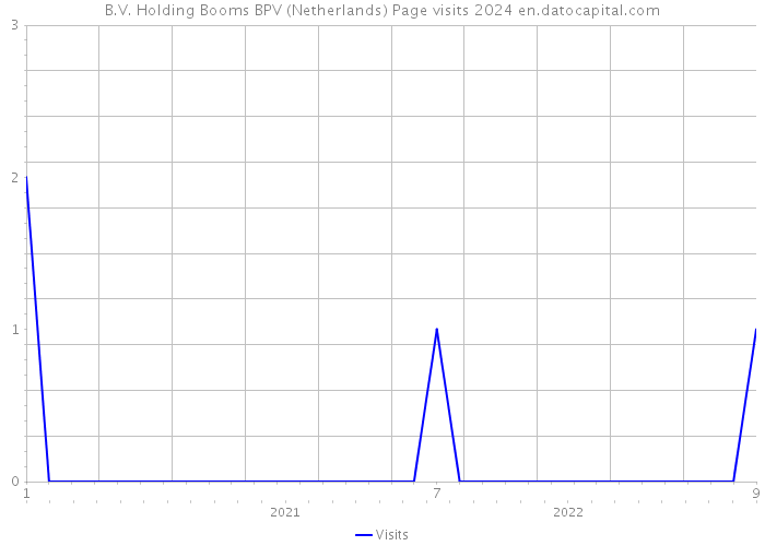 B.V. Holding Booms BPV (Netherlands) Page visits 2024 