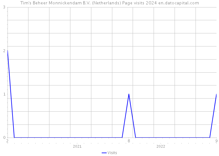 Tim's Beheer Monnickendam B.V. (Netherlands) Page visits 2024 