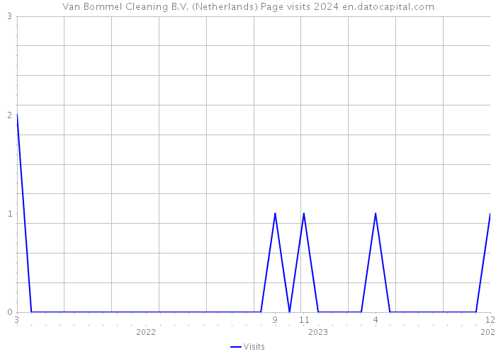 Van Bommel Cleaning B.V. (Netherlands) Page visits 2024 