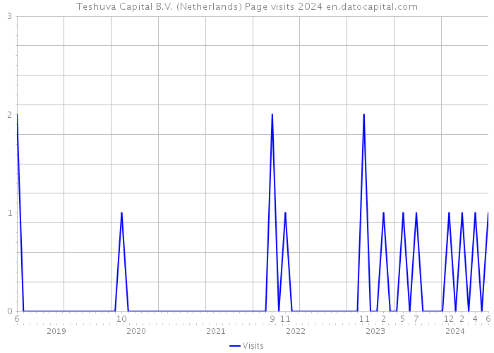 Teshuva Capital B.V. (Netherlands) Page visits 2024 