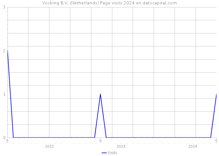 Vocking B.V. (Netherlands) Page visits 2024 