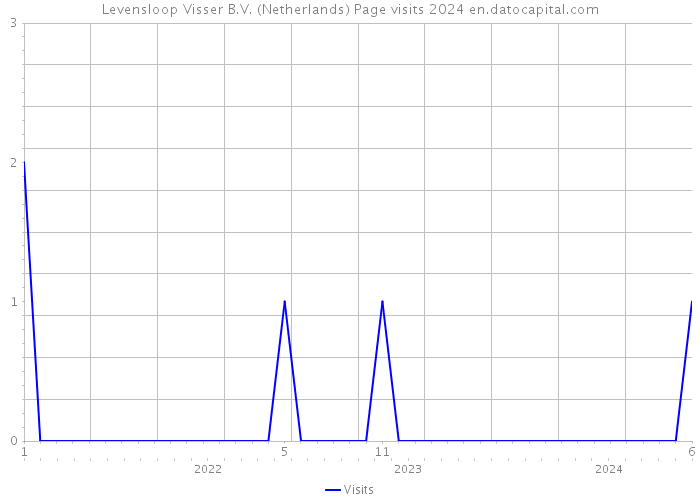 Levensloop Visser B.V. (Netherlands) Page visits 2024 
