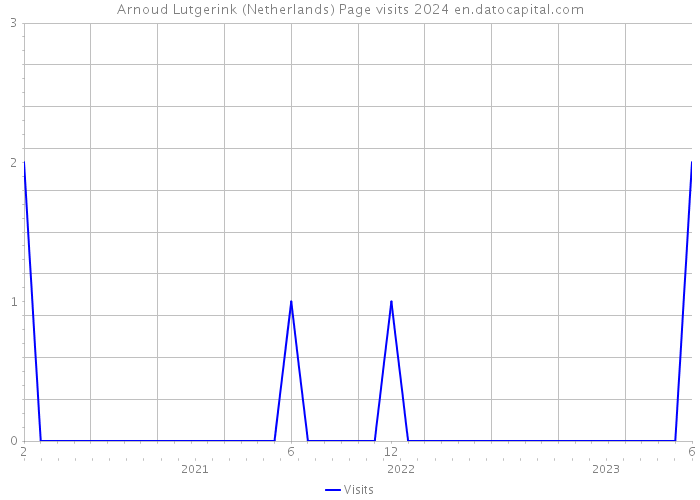 Arnoud Lutgerink (Netherlands) Page visits 2024 