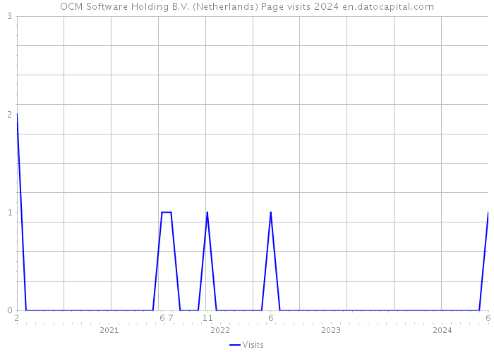 OCM Software Holding B.V. (Netherlands) Page visits 2024 
