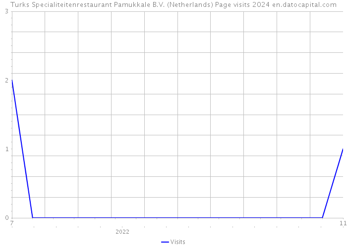 Turks Specialiteitenrestaurant Pamukkale B.V. (Netherlands) Page visits 2024 