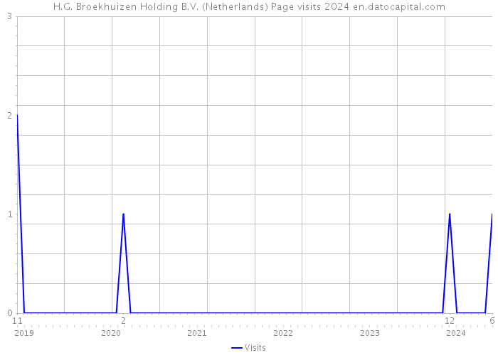 H.G. Broekhuizen Holding B.V. (Netherlands) Page visits 2024 