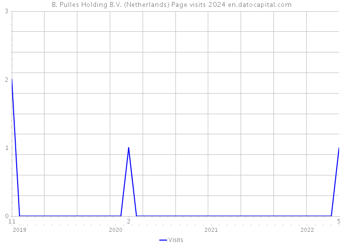 B. Pulles Holding B.V. (Netherlands) Page visits 2024 