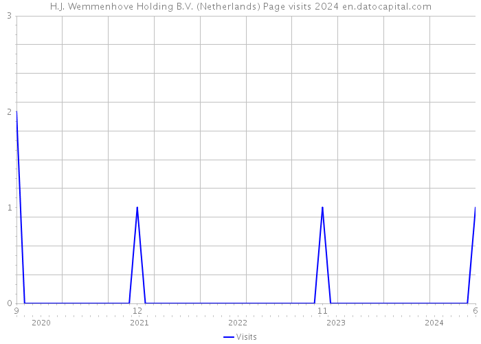 H.J. Wemmenhove Holding B.V. (Netherlands) Page visits 2024 