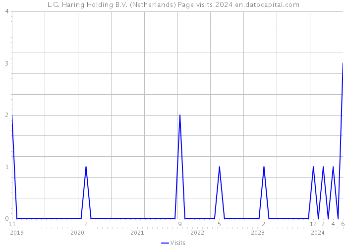 L.G. Haring Holding B.V. (Netherlands) Page visits 2024 