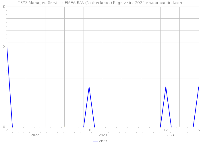 TSYS Managed Services EMEA B.V. (Netherlands) Page visits 2024 