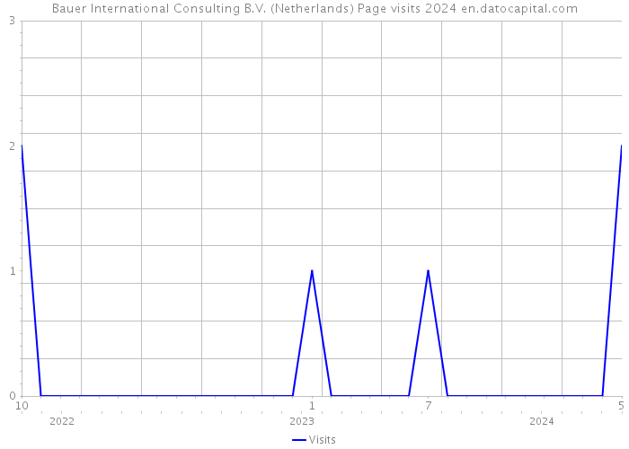 Bauer International Consulting B.V. (Netherlands) Page visits 2024 