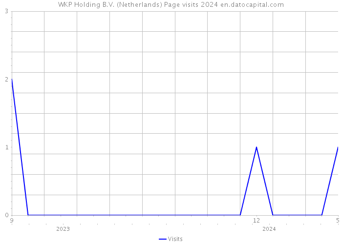 WKP Holding B.V. (Netherlands) Page visits 2024 