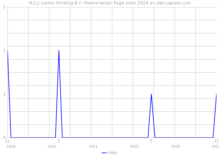 H.G.J. Lunter Holding B.V. (Netherlands) Page visits 2024 