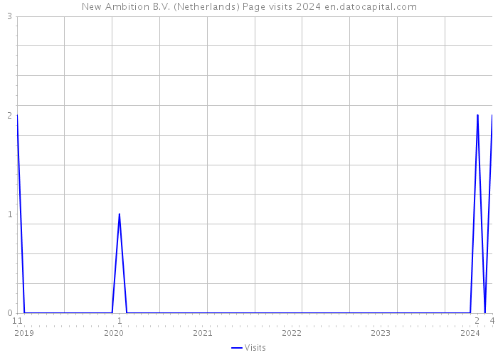 New Ambition B.V. (Netherlands) Page visits 2024 