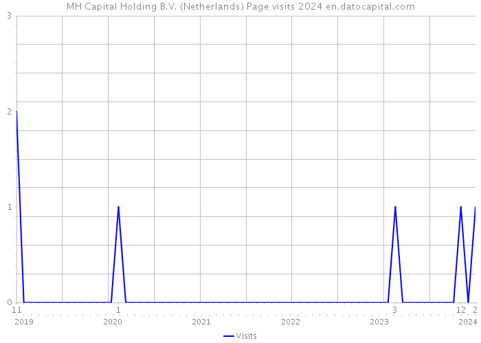 MH Capital Holding B.V. (Netherlands) Page visits 2024 