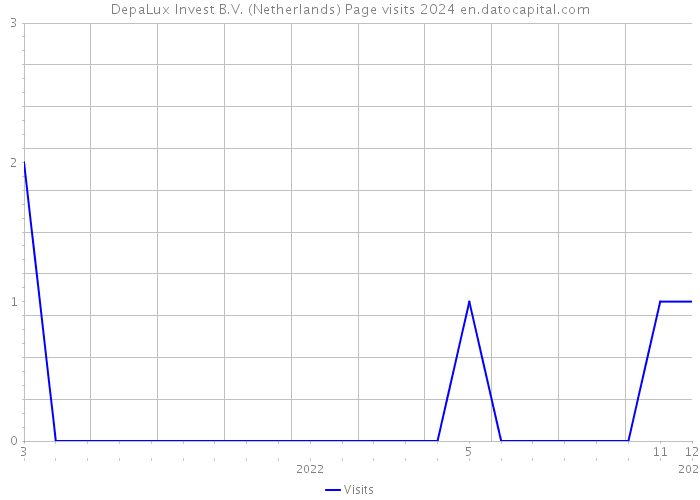 DepaLux Invest B.V. (Netherlands) Page visits 2024 