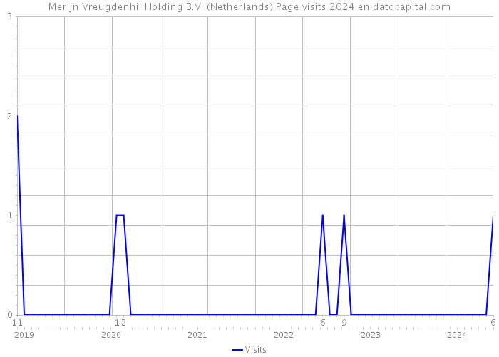 Merijn Vreugdenhil Holding B.V. (Netherlands) Page visits 2024 