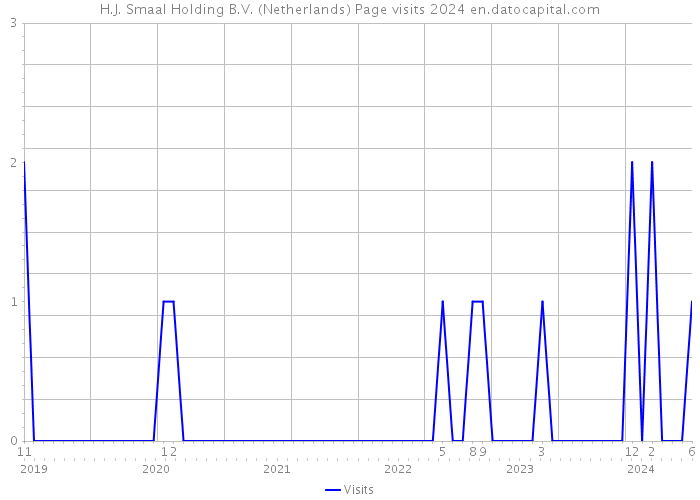 H.J. Smaal Holding B.V. (Netherlands) Page visits 2024 