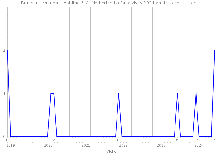 Dutch International Holding B.V. (Netherlands) Page visits 2024 