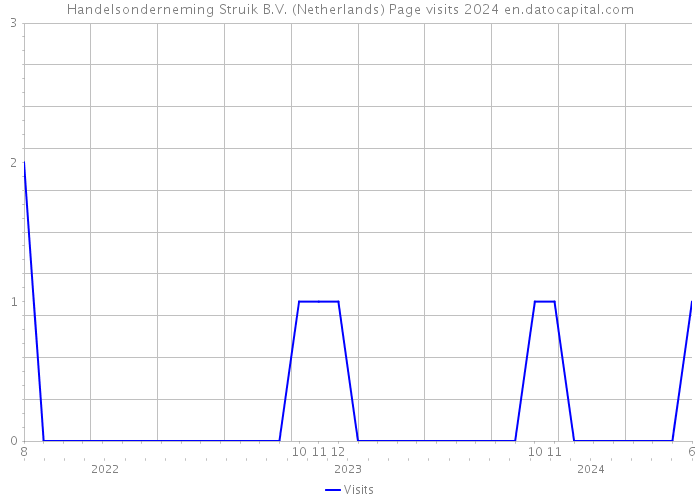Handelsonderneming Struik B.V. (Netherlands) Page visits 2024 