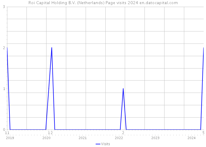 Roi Capital Holding B.V. (Netherlands) Page visits 2024 