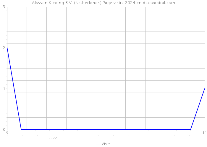 Alysson Kleding B.V. (Netherlands) Page visits 2024 
