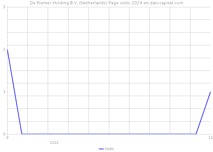 De Riemer Holding B.V. (Netherlands) Page visits 2024 