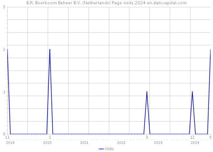 B.R. Boerboom Beheer B.V. (Netherlands) Page visits 2024 