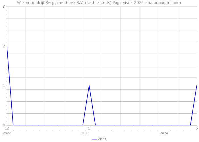 Warmtebedrijf Bergschenhoek B.V. (Netherlands) Page visits 2024 