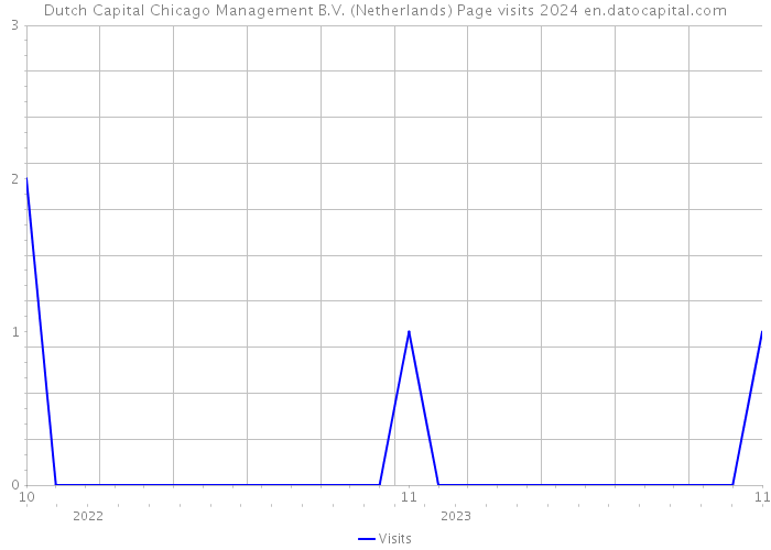 Dutch Capital Chicago Management B.V. (Netherlands) Page visits 2024 