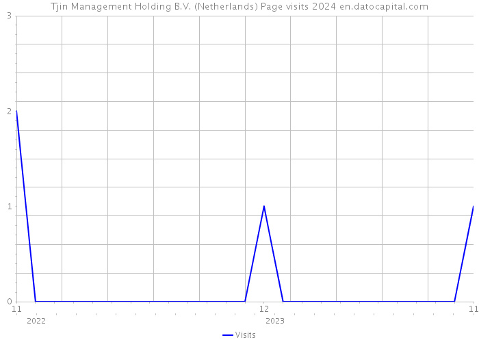 Tjin Management Holding B.V. (Netherlands) Page visits 2024 