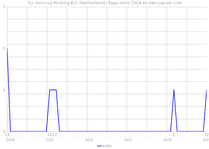 S.J. Vernooij Holding B.V. (Netherlands) Page visits 2024 