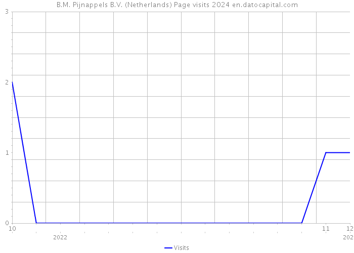 B.M. Pijnappels B.V. (Netherlands) Page visits 2024 