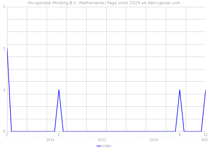 Hoogendijk Holding B.V. (Netherlands) Page visits 2024 