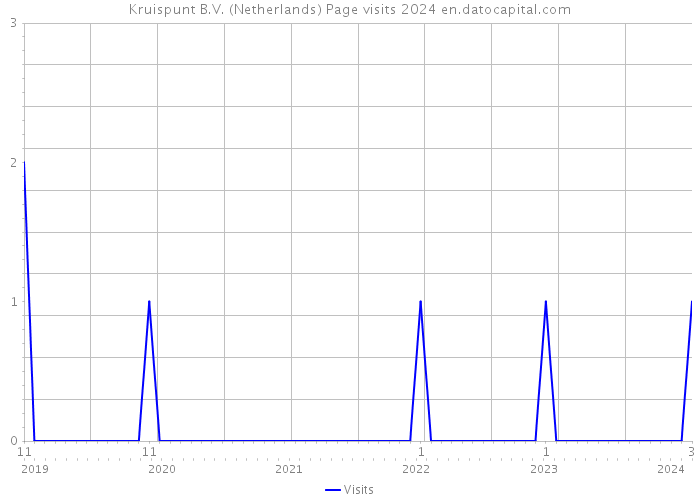 Kruispunt B.V. (Netherlands) Page visits 2024 