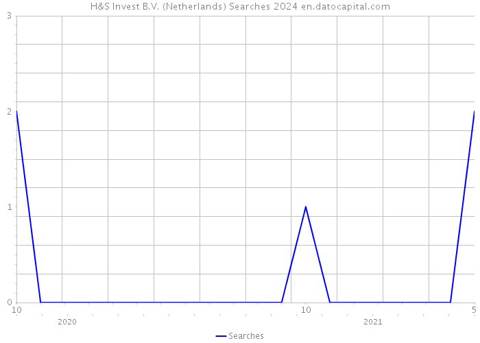 H&S Invest B.V. (Netherlands) Searches 2024 